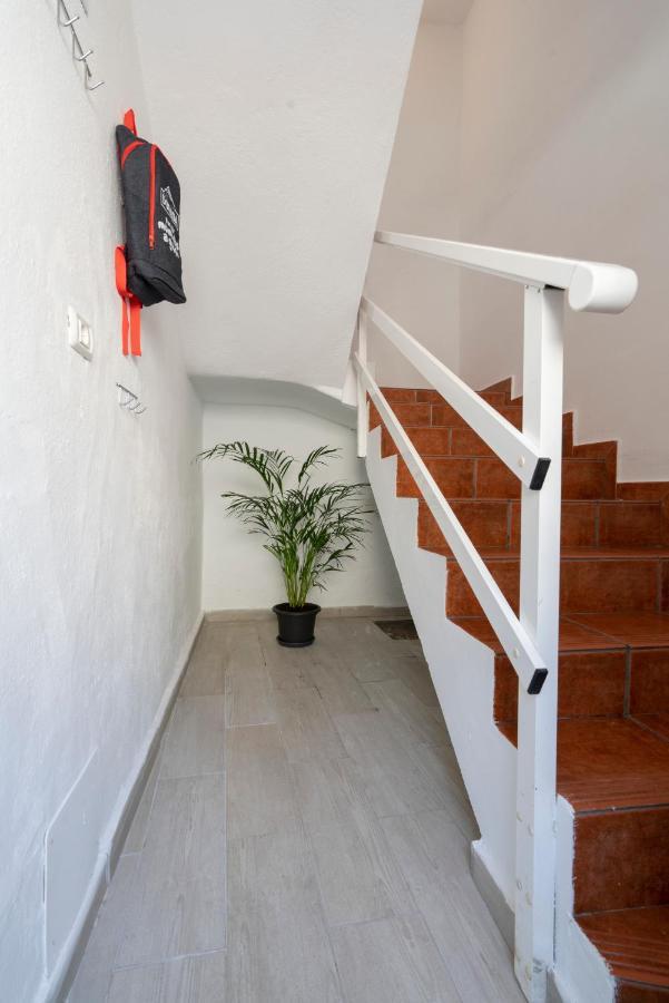 Spacious House With Huge Terrace Facing The Sea Bocacangrejo Zewnętrze zdjęcie